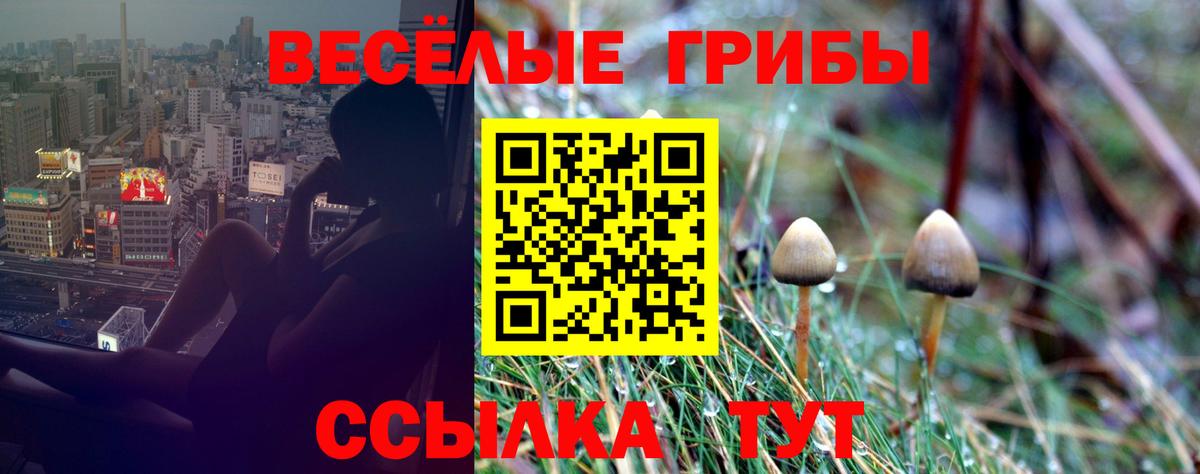 Галлюциногенные грибы GOLDEN TEACHER Прокопьевск